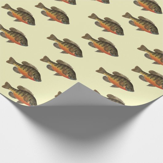 Papier Cadeau Bream, Bluegill (Coin)