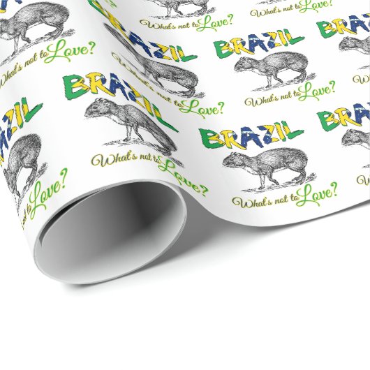 Papier Cadeau Brésil - Ce qui ne va pas aimer Brasil Citation (Coin rond)