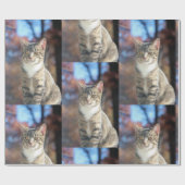 Papier Cadeau Brin (Plat)