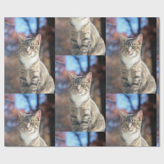 Papier Cadeau Brin (Plat)