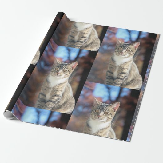 Papier Cadeau Brin (Déroulé)