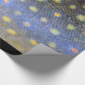 Papier Cadeau Brook Trout Scales (Coin)