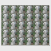 Papier Cadeau Brooklyn's Garden Party - Weimaraner Dog (Plat)