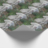 Papier Cadeau Brooklyn's Garden Party - Weimaraner Dog (Coin)