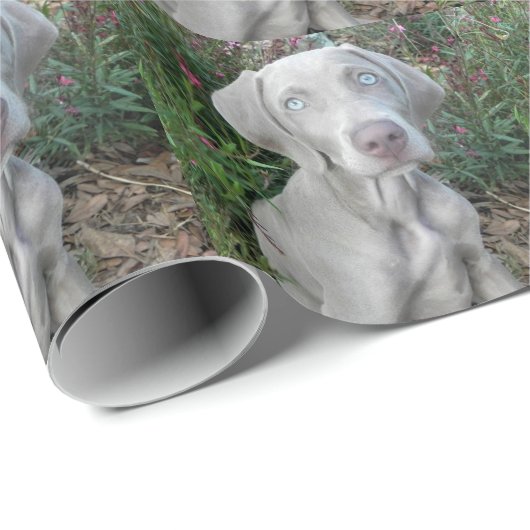 Papier Cadeau Brooklyn's Garden Party - Weimaraner Dog (Coin rond)