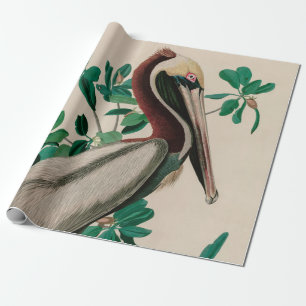 Papier Cadeau Brown Pelican Birds of America Audubon