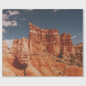 PAPIER CADEAU BROWN ROCKS (Plat)