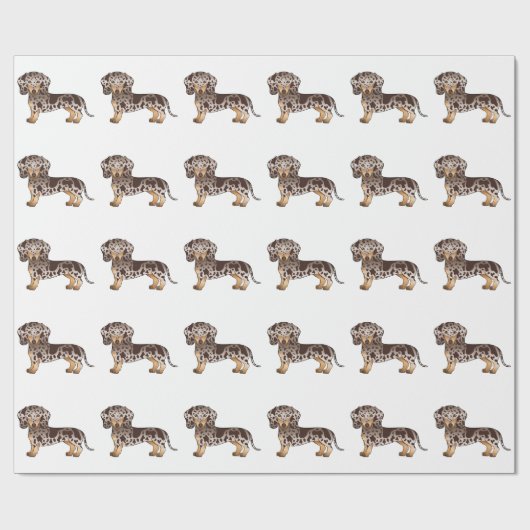 Papier Cadeau Brown & Tan Dapper Cheveux courts Motif Dachshund (Plat)