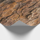 Papier Cadeau Brown tree bark in closeup (Coin)