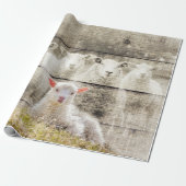 Papier Cadeau Brûlure d'agneau de bébé à mouton rustique (Déroulé)