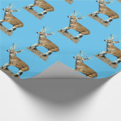 Papier Cadeau Buck White Tailed (Coin)