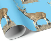 Papier Cadeau Buck White Tailed (Coin rond)