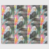 Papier Cadeau Budgie (Plat)