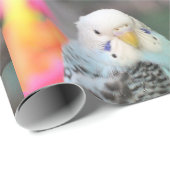 Papier Cadeau Budgie (Coin rond)