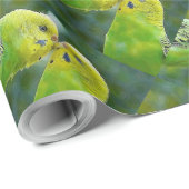 Papier Cadeau Budgie_2015_0604 (Coin rond)