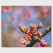Papier Cadeau Buds Sakura Cherry Tree. Début Du Printemps (Plat)