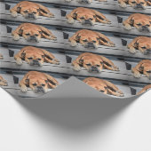 Papier Cadeau Bull Dog (Coin)
