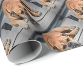 Papier Cadeau Bull Dog (Coin rond)