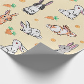 Papier Cadeau Bunnie (Coin)