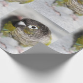 Papier Cadeau Burbel (Coin)