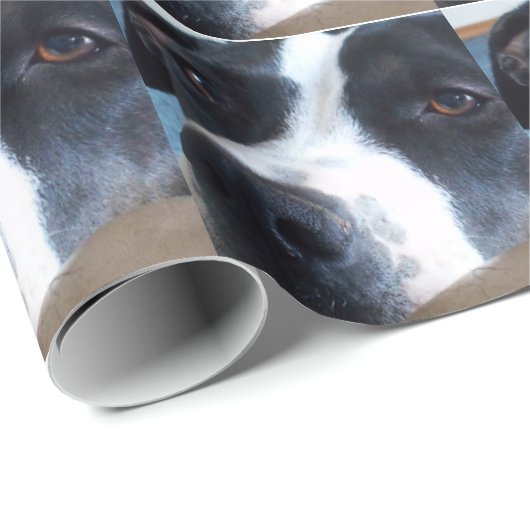 Papier Cadeau Cabot-Papier Pitt (Coin rond)