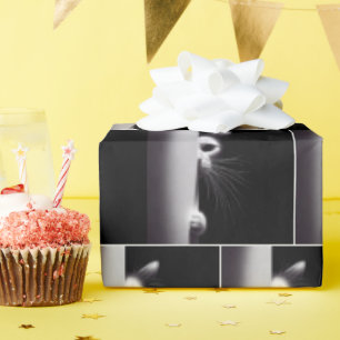 Papier Cadeau Cachette Dans L'Ombre