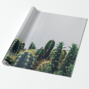 PAPIER CADEAU CACTI VERT