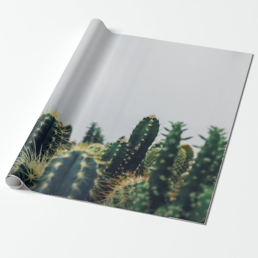 PAPIER CADEAU CACTI VERT (Déroulé)