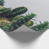 PAPIER CADEAU CACTI VERT (Coin)