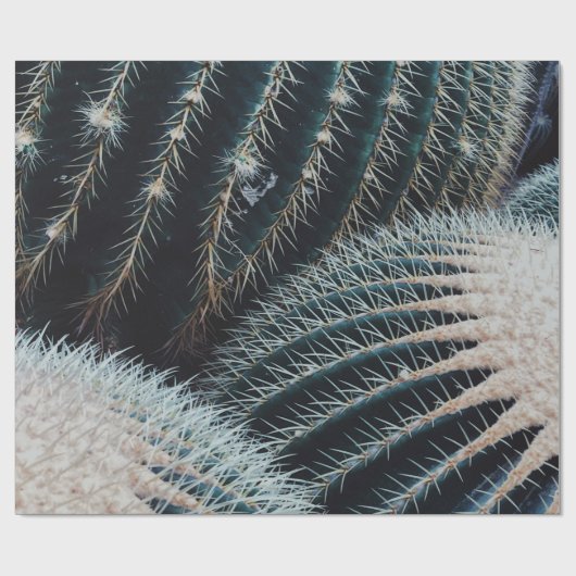 Papier Cadeau Cactus (Plat)