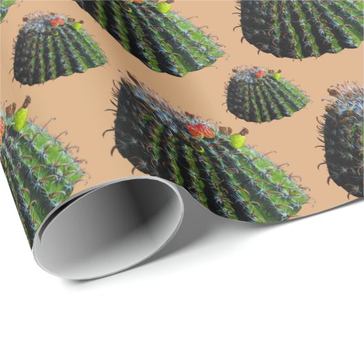 Papier cadeau Cactus (Coin rond)