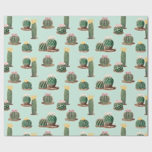 Papier Cadeau Cactus (Plat)