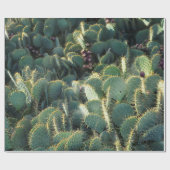 Papier Cadeau Cactus épineux (Plat)