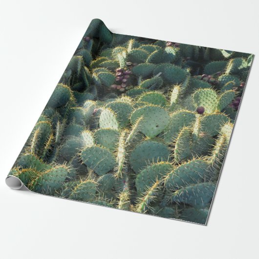 Papier Cadeau Cactus épineux (Déroulé)