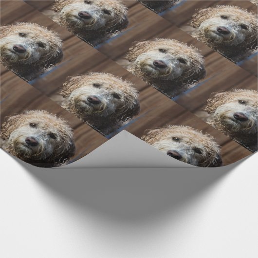 Papier Cadeau Cadeaux impressionnants de chiot de Labradoodle (Coin)