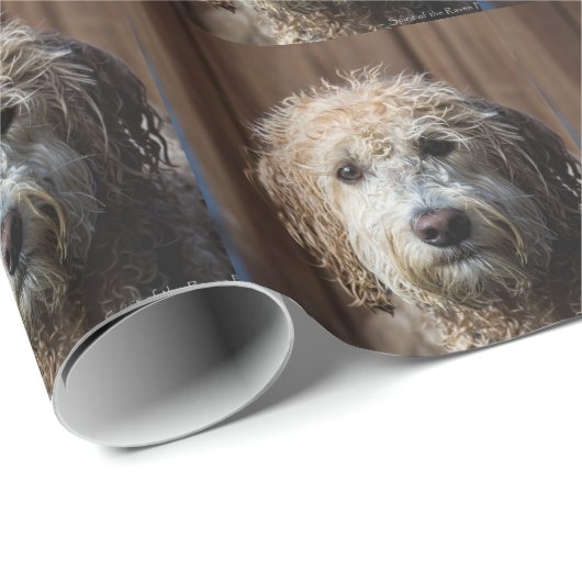Papier Cadeau Cadeaux impressionnants de chiot de Labradoodle (Coin rond)