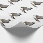 PAPIER CADEAU CAILLES DE CALIFORNIE (Coin)