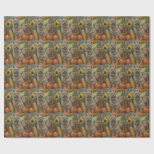 Papier Cadeau Cairn Terrier Chien Moisson Automne Thanksgiving (Plat)
