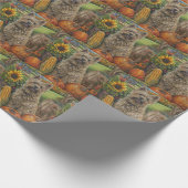 Papier Cadeau Cairn Terrier Chien Moisson Automne Thanksgiving (Coin)