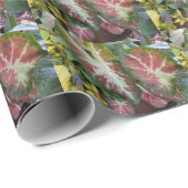 Papier Cadeau Caladium Garden Gardeners Delight Design (Coin rond)