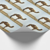 Papier Cadeau Camel (Coin)