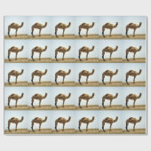 Papier Cadeau Camel (Plat)