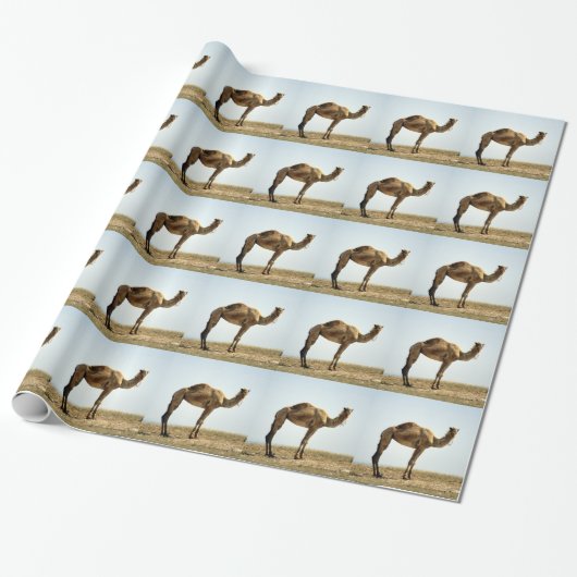 Papier Cadeau Camel (Déroulé)