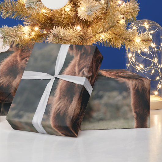 Papier Cadeau Campagne d'herbe d'automne de la vache de haute-te (Vacances)