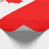 Papier Cadeau Canada (Coin)