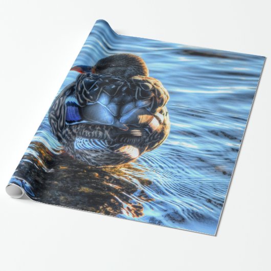 Papier Cadeau Canard de Mallard dans la rivière Winter - Photo F (Déroulé)