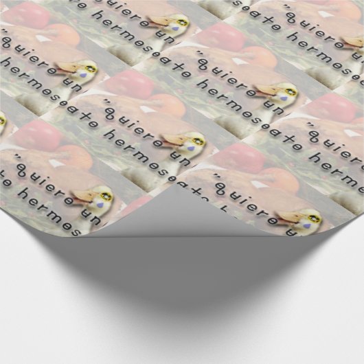 Papier Cadeau Canard et bébé (Coin)