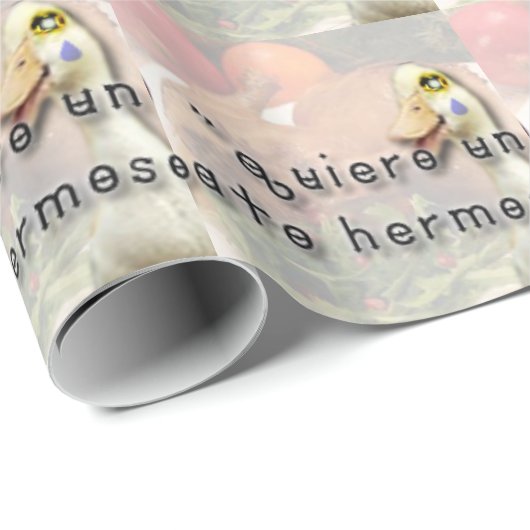 Papier Cadeau Canard et bébé (Coin rond)