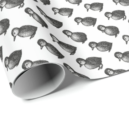 Papier Cadeau Canards (Coin rond)