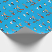 Papier Cadeau Canards (Coin)
